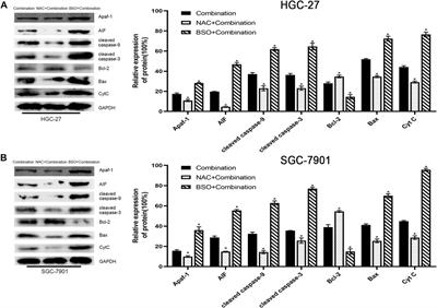 Combining Sodium Butyrate With Cisplatin Increases the Apoptosis of Gastric Cancer In Vivo and In Vitro via the Mitochondrial Apoptosis Pathway